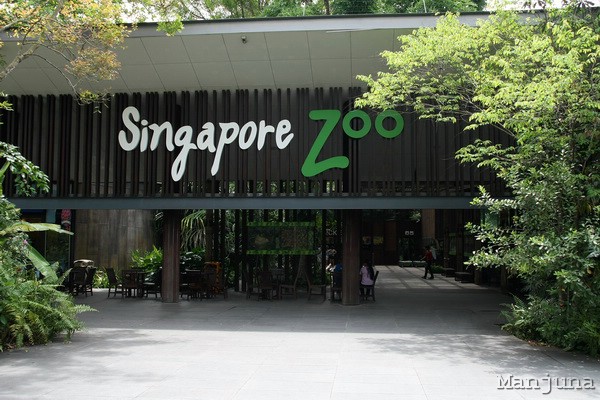 Путевой дневник: Бали, Сингапур. Март-Апрель 2008