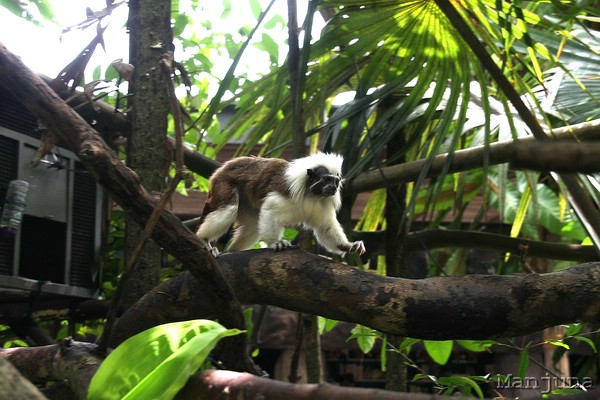 Путевой дневник: Бали, Сингапур. Март-Апрель 2008