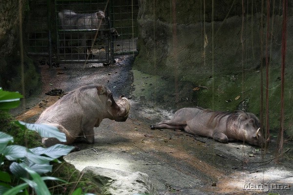 Путевой дневник: Бали, Сингапур. Март-Апрель 2008