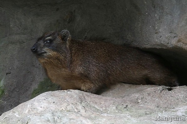 Путевой дневник: Бали, Сингапур. Март-Апрель 2008