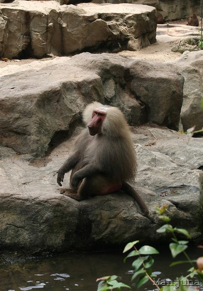 Путевой дневник: Бали, Сингапур. Март-Апрель 2008
