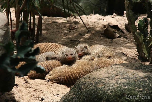 Путевой дневник: Бали, Сингапур. Март-Апрель 2008