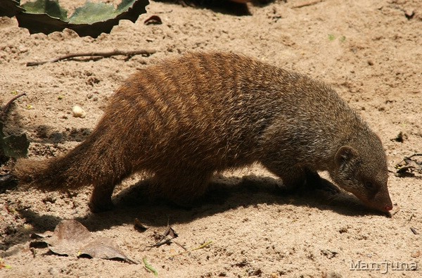 Путевой дневник: Бали, Сингапур. Март-Апрель 2008