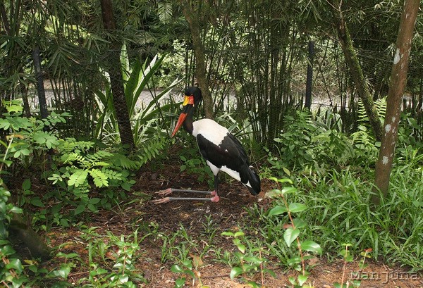 Путевой дневник: Бали, Сингапур. Март-Апрель 2008