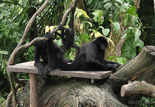 Путевой дневник: Бали, Сингапур. Март-Апрель 2008