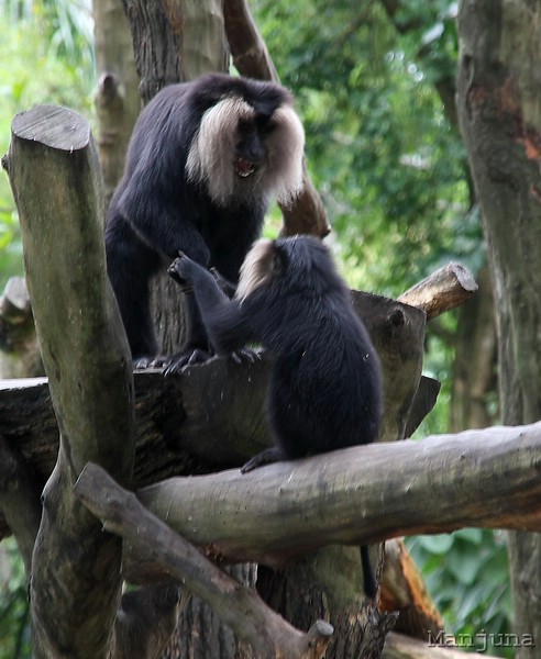 Путевой дневник: Бали, Сингапур. Март-Апрель 2008