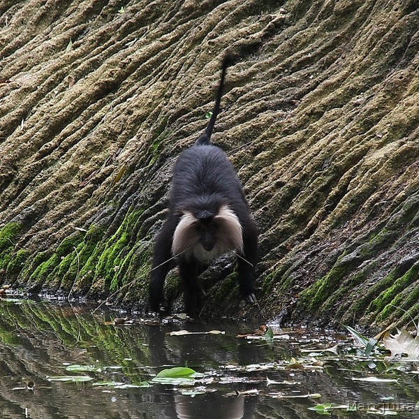 Путевой дневник: Бали, Сингапур. Март-Апрель 2008