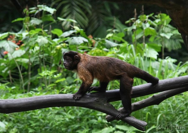 Путевой дневник: Бали, Сингапур. Март-Апрель 2008