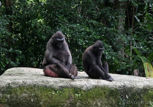 Путевой дневник: Бали, Сингапур. Март-Апрель 2008