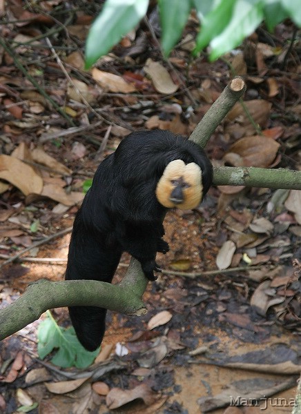 Путевой дневник: Бали, Сингапур. Март-Апрель 2008
