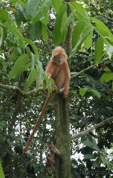 Путевой дневник: Бали, Сингапур. Март-Апрель 2008