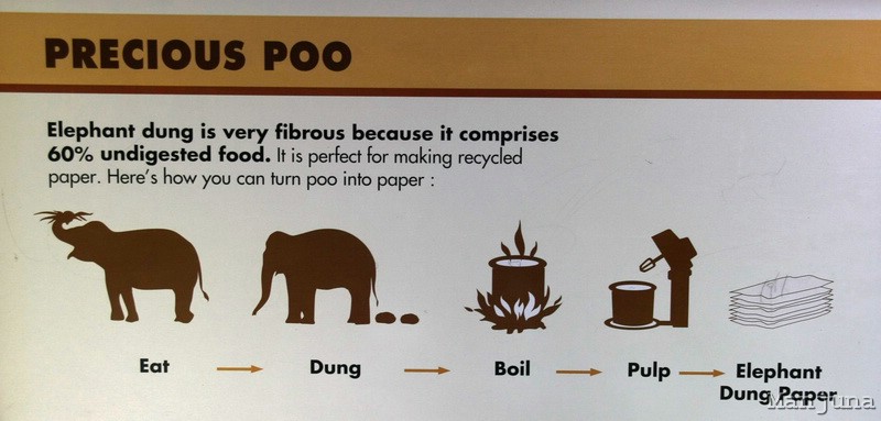 Путевой дневник: Бали, Сингапур. Март-Апрель 2008