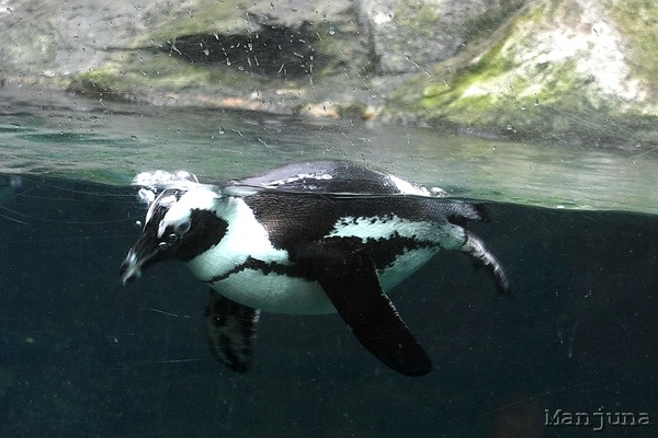 Путевой дневник: Бали, Сингапур. Март-Апрель 2008