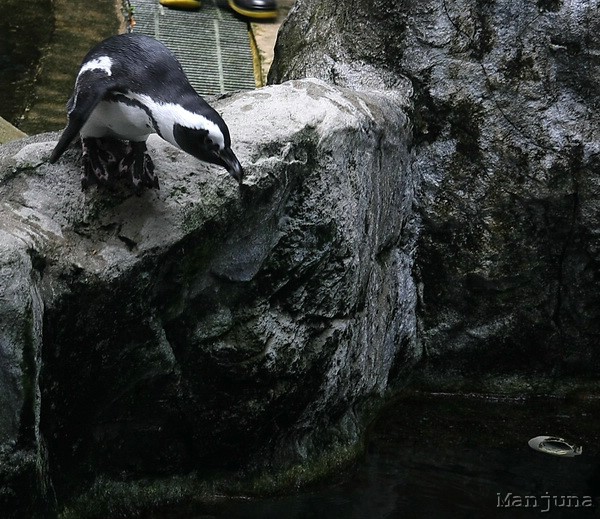 Путевой дневник: Бали, Сингапур. Март-Апрель 2008