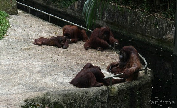 Путевой дневник: Бали, Сингапур. Март-Апрель 2008