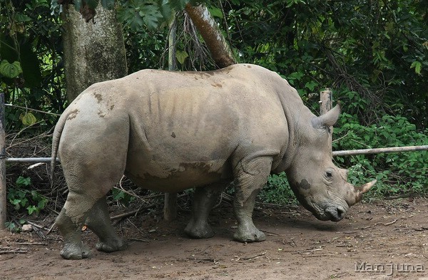 Путевой дневник: Бали, Сингапур. Март-Апрель 2008