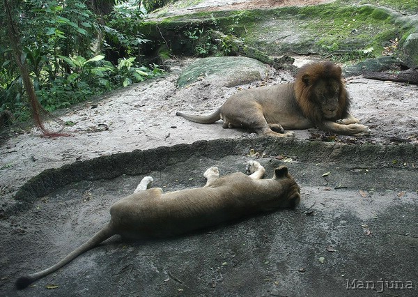 Путевой дневник: Бали, Сингапур. Март-Апрель 2008