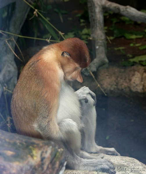Путевой дневник: Бали, Сингапур. Март-Апрель 2008