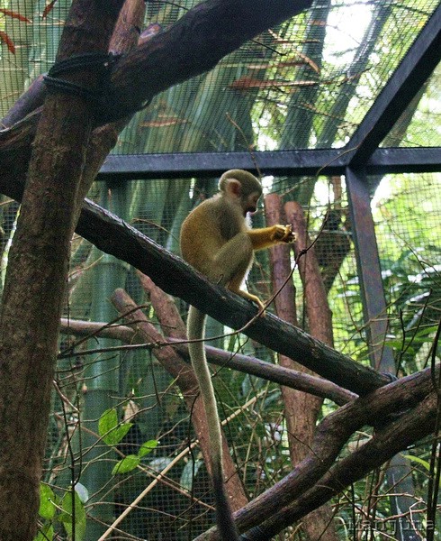 Путевой дневник: Бали, Сингапур. Март-Апрель 2008