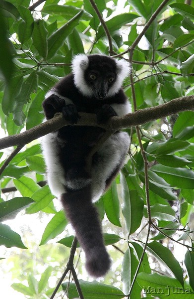 Путевой дневник: Бали, Сингапур. Март-Апрель 2008