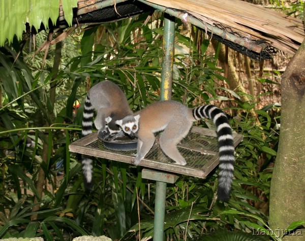 Путевой дневник: Бали, Сингапур. Март-Апрель 2008