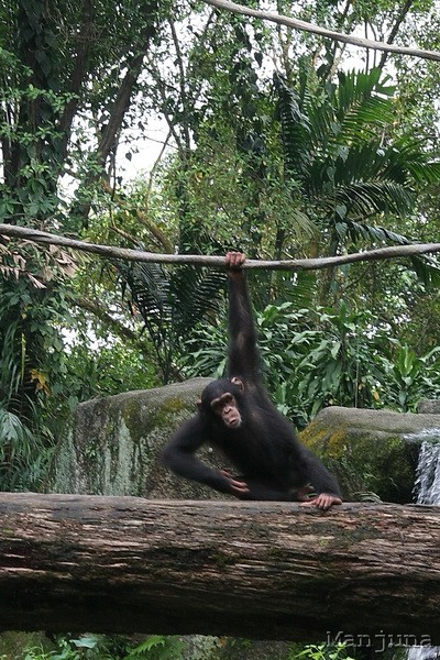 Путевой дневник: Бали, Сингапур. Март-Апрель 2008