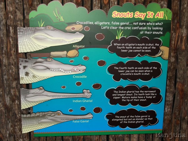 Путевой дневник: Бали, Сингапур. Март-Апрель 2008