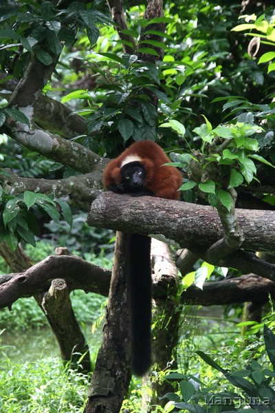 Путевой дневник: Бали, Сингапур. Март-Апрель 2008