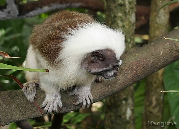 Путевой дневник: Бали, Сингапур. Март-Апрель 2008