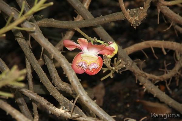 Путевой дневник: Бали, Сингапур. Март-Апрель 2008